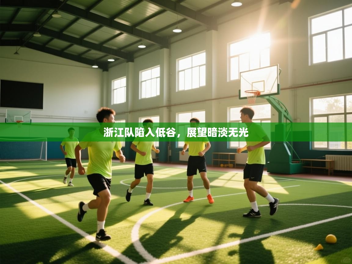 浙江队陷入低谷,展望暗淡无光 第1张